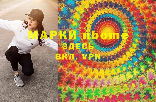 мдпв Арсеньев