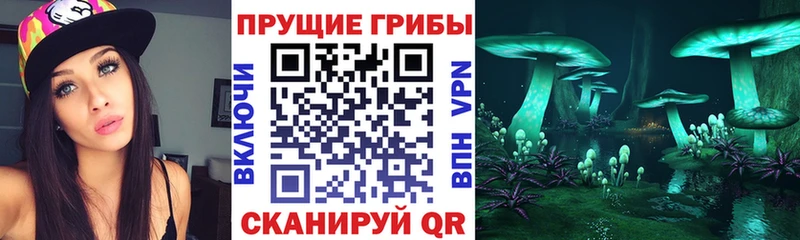 hydra зеркало  Фролово  Галлюциногенные грибы Magic Shrooms 